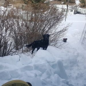 Meet your Posher, Kaitlin